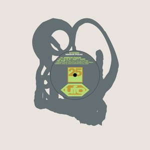 Mirror Phase EP — Efdemin