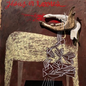 Alan Sparhawk with Trampled by Turtles — Alan Sparhawk