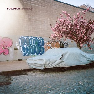 Shades — Blaudzun