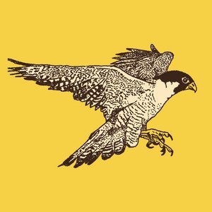 Live from Rada Studios — The Southern River Band