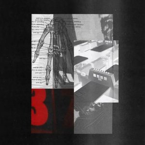 Little Fractures — Mount Palomar