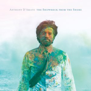 The Shipwreck from the Shore — Anthony D'Amato