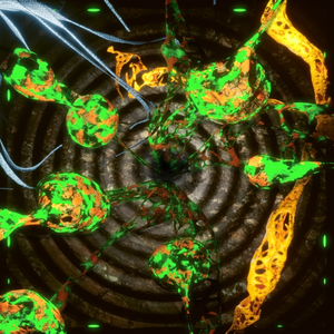 One Way Trip to Gaia — Alberta Balsam