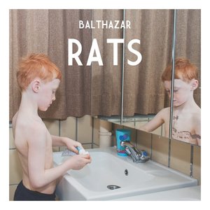 Rats — Balthazar