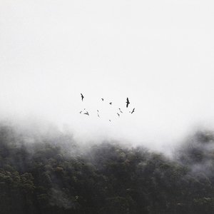 Dreamlike — Jesse Kendal