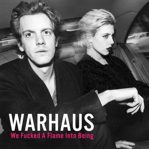 We Fucked A Flame Into Being — Warhaus