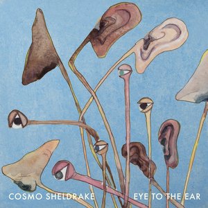 Eye To The Ear — Cosmo Sheldrake