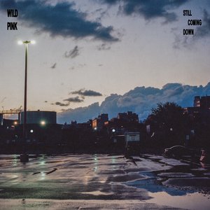 Round Of Applause At The End Of The World — Wild Pink