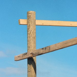 Modern Roses — Soft Loft