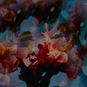 Best Life — Ben Böhmer