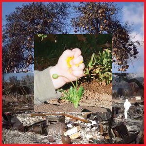 Return of Youth — DIIV