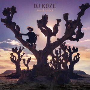 Knock Knock — DJ Koze