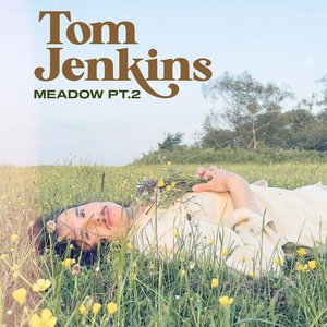 Meadow Pt.2 — Tom Jenkins