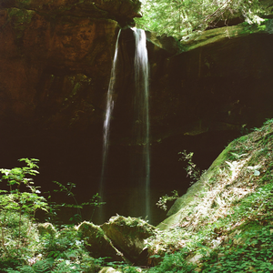 Forest Dark — Nailah Hunter