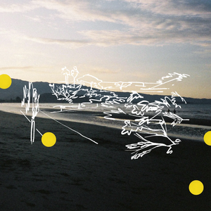 Mimose (Christian Löffler Remix) — Parra for Cuva