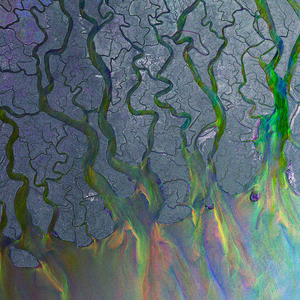 An Awesome Wave — alt-J