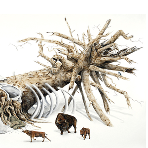 The Brown Bird Christmas Album — Brown Bird