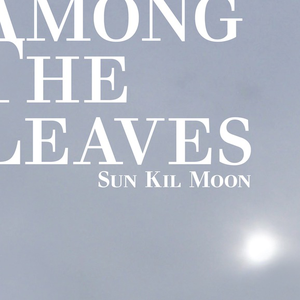 Among The Leaves — Sun Kil Moon