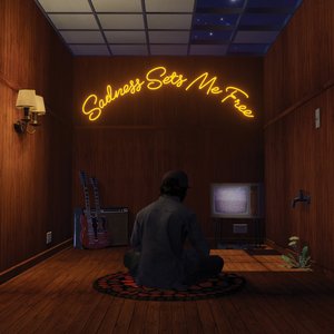 Sadness Sets Me Free — Gruff Rhys