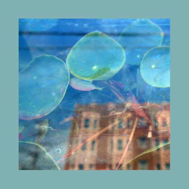 Acknowledge Kindness — The Reds, Pinks and Purples