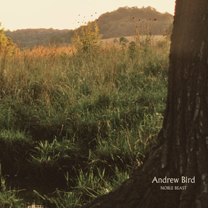 Noble Beast — Andrew Bird