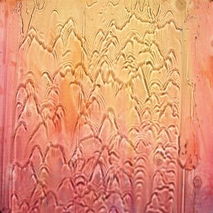 Welcome To The Jungle — Mount Liberation Unlimited