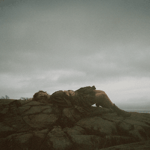 False Start — Bella White