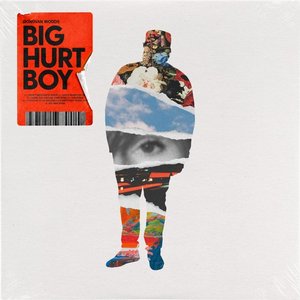 Big Hurt Boy — Donovan Woods
