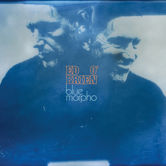 Blue Morpho — Ed O'Brien