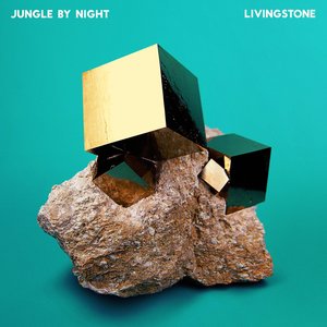 Livingstone — Jungle by Night
