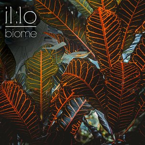 Biome — il:lo
