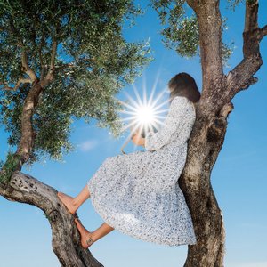 Little Miss Sunshine — Eaves Wilder