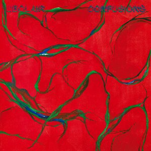 Confusions — l'éclair