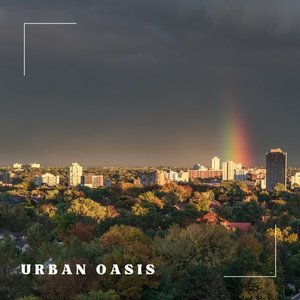 Urban Oasis — Nighthawks Revisited