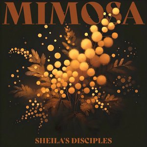 Mimosa — Sheila's Disciples