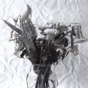 Bang Alleen Te Blijven — Hiigo