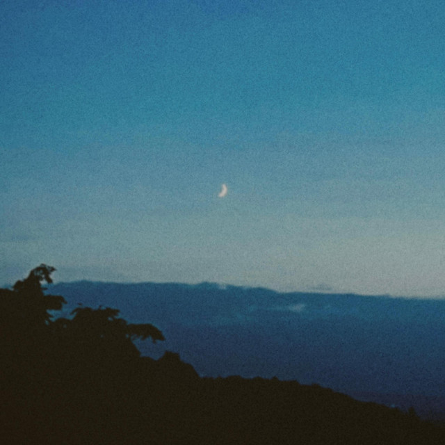 Prelude (do you wanna hold me?) — Bassi Fox