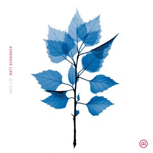 Get Sunk — Matt Berninger