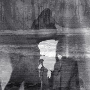 Swimming With The Crocodiles — The Veils