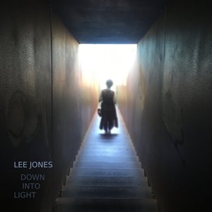 Down Into Light — Lee Jones