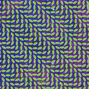 Merriweather Post Pavilion — Animal Collective