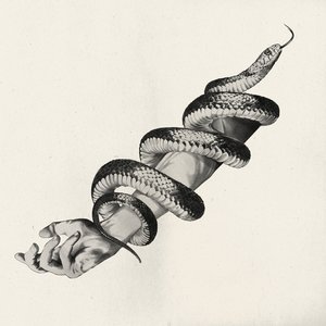 Idle Hands — Ian Fisher