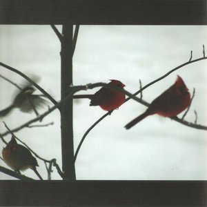 Calamity Drenching — Mccarthy Trenching