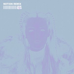 The Days (NOTION Remix) — Chrystal