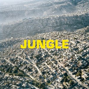 Jungle — The Blaze