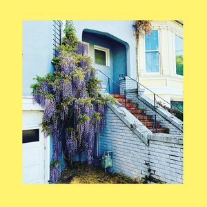 They Only Wanted Your Soul — The Reds, Pinks and Purples