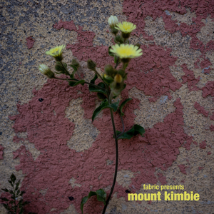 Monroe — Mount Kimbie