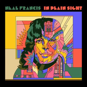 In Plain Sight — Neal Francis