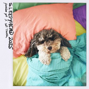 Sleepyhead 2025 — Passion Pit