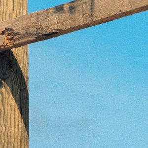 Paper Plane — Soft Loft